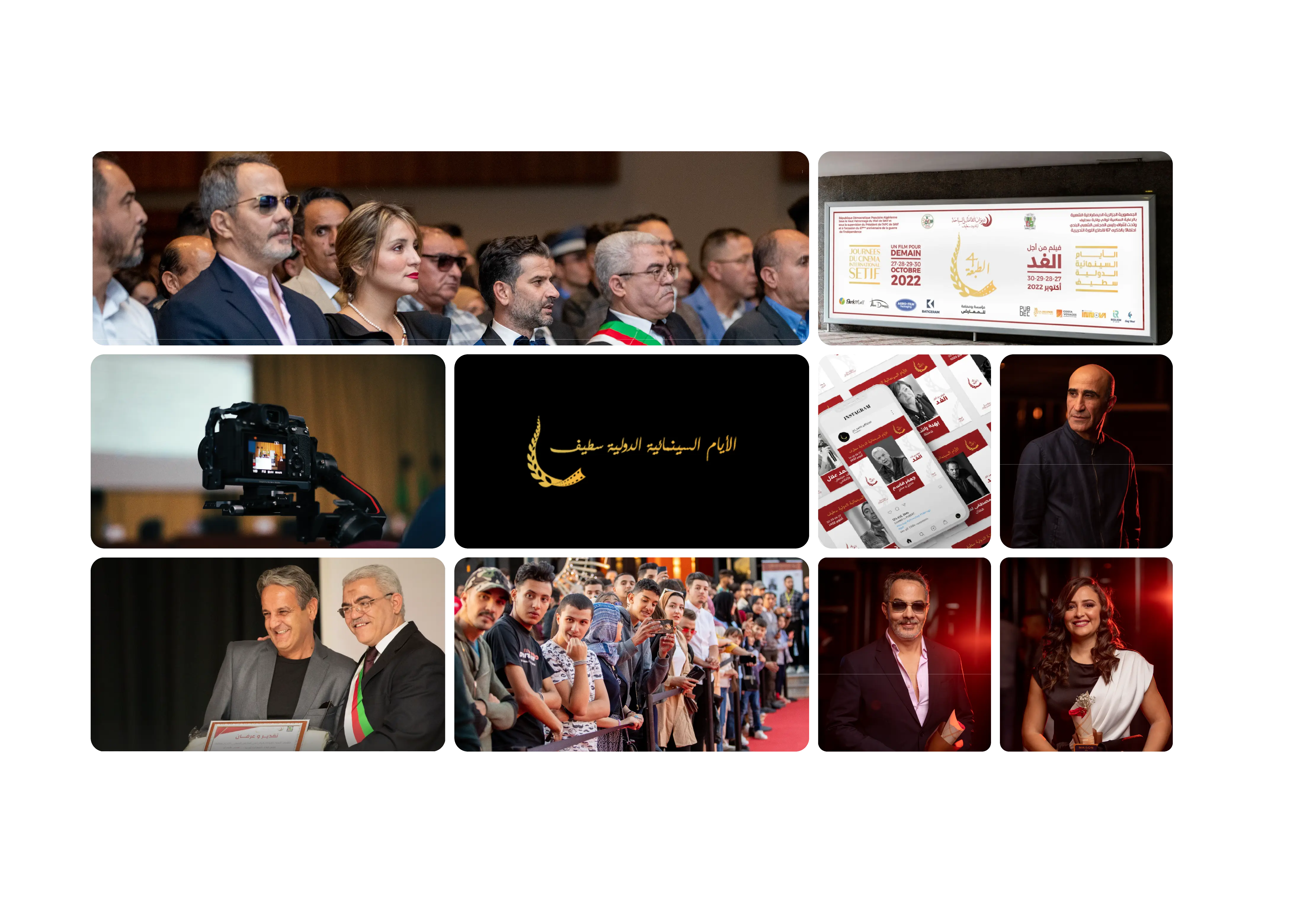 Cinema & Media