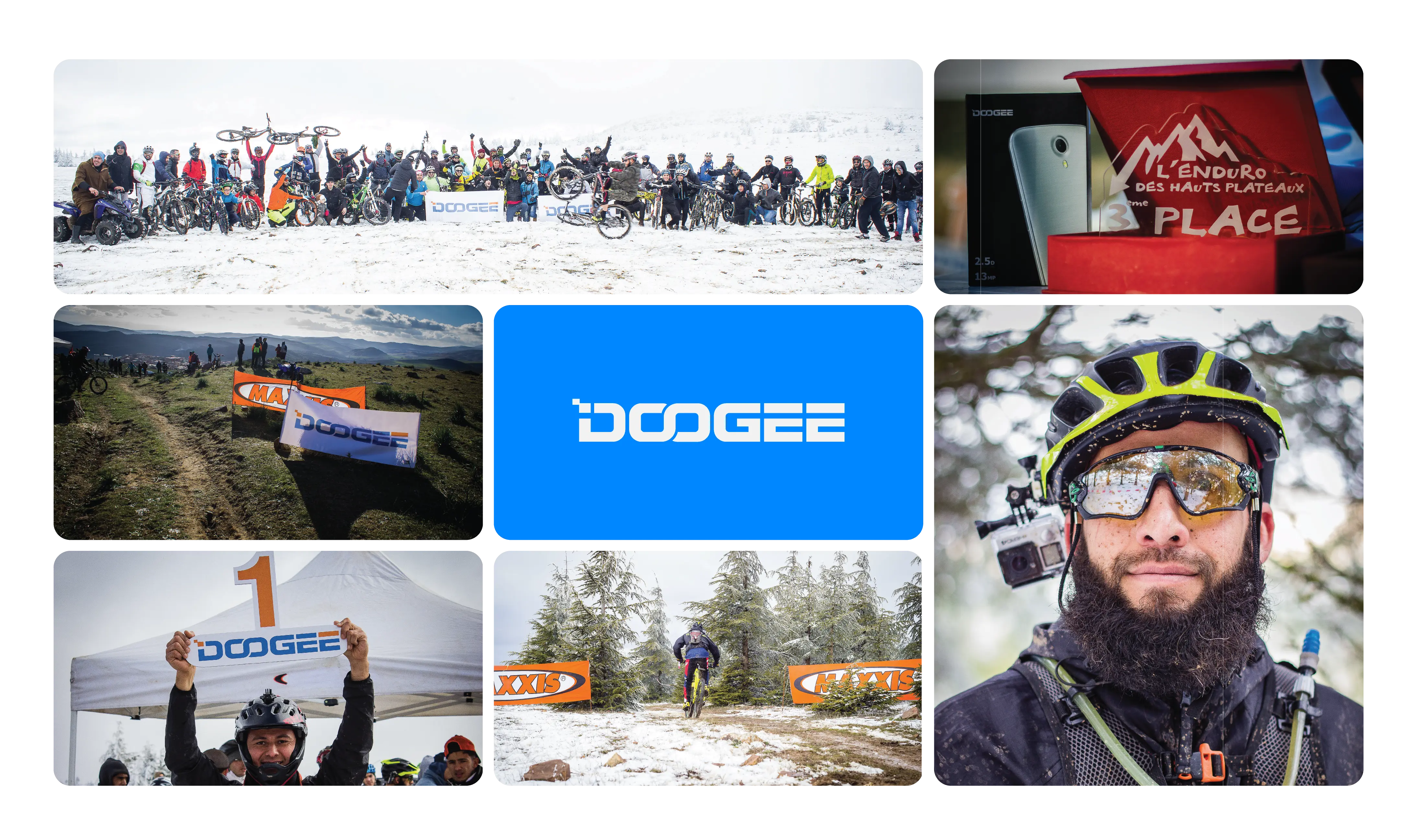 Doggee Project